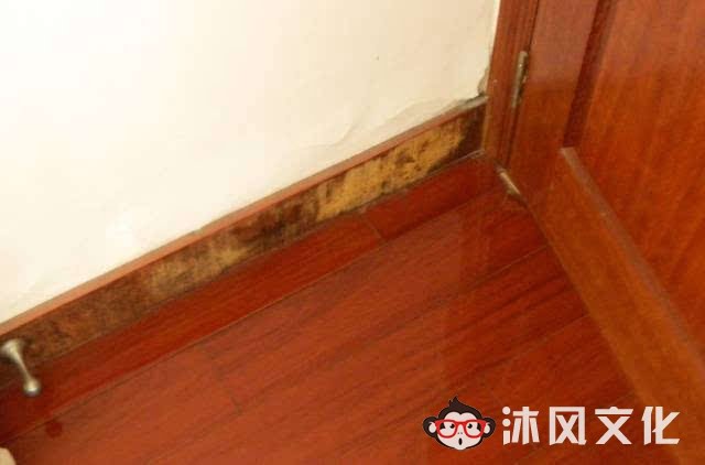 图片[20]-20个聪明的日常生活小技巧，简单又实用！ -沐风文化