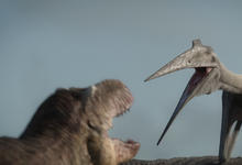 纪录片:《史前星球》第二季中文配音版来了 这个六一看这个-沐风文化