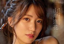 PRED-271 趁老婆出差!与美人小三「山岸逢花」去温泉旅馆大搞不伦,放松身心疯狂玩乐!-沐风文化